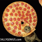 pizzacat