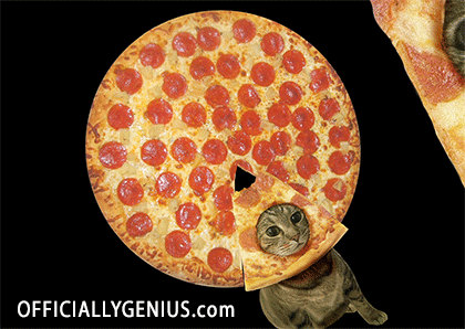 pizzacat